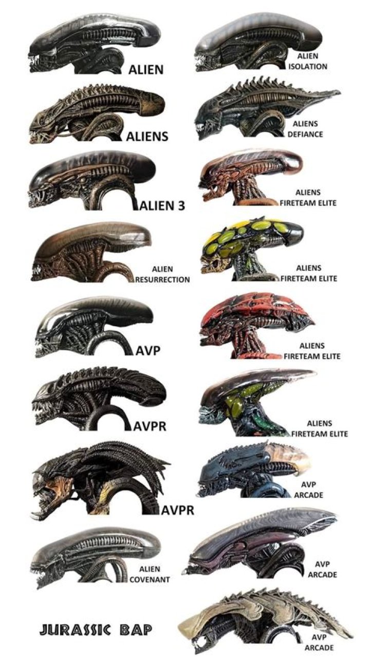 Every Type Of Xenomorph In The Alien Franchise Explained