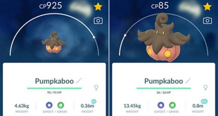 Pokémon GO: Pumpkaboo Collection Challenge Guide