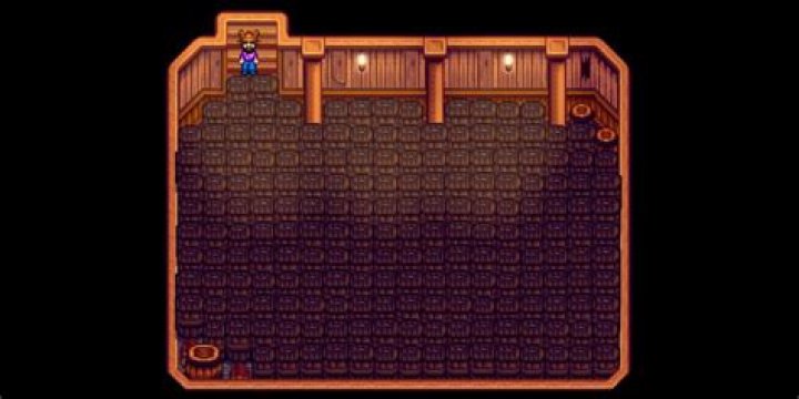 Stardew Valley Player Fills Cellar with Ancient Fruit Wine